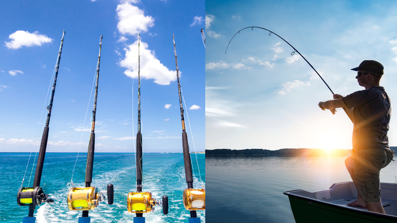 Saltwater Fishing vs. Freshwater Fishing What You Need To Know